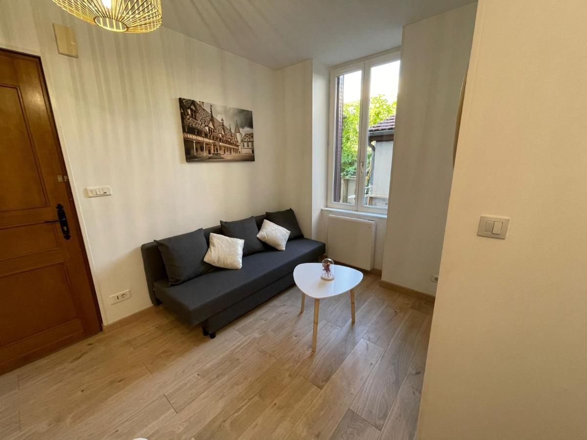 Appartement Cosy Entier, Parking Gratuit Dans La Rue Ντιζόν Εξωτερικό φωτογραφία